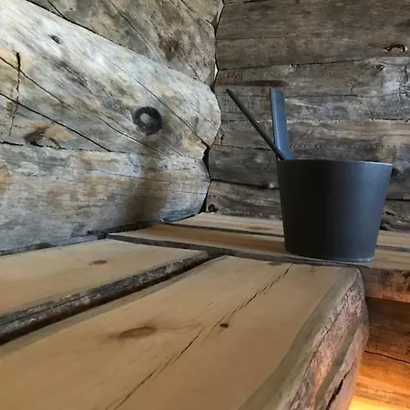 Vip Evi * Evijarvi